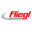 Fliegel